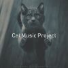 Download track Piano Jazz Soundtrack For Cute Cats