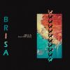 Download track Brisa (Noide & Jack's Vip Remix)