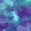 Download track Funky Backdrops For Home Cats