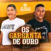 Download track To Gostando De Voçe