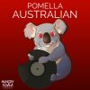 Download track Australian (Original Mix)