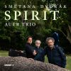 Download track Piano Trio No. 4 In E Minor, Op. 90, B. 166 