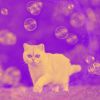 Download track Simplistic Ambiance For Friendly Cats