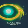 Download track Natural Chill (Chillin In The Sand Mix)