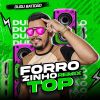 Download track Forrozinho É Sério