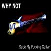 Download track Suck My Fucking Guitar