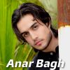 Download track Anar Bagh