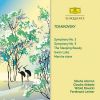 Download track Tchaikovsky The Sleeping Beauty, Suite, Op. 66a, TH 234-2. Pas D'action Rose Adagio