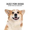 Download track Gentle Paws