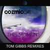 Download track This Moment (Tom Gibbs' That 3o3ment)