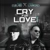 Download track Cry For Love (Rascal Dub)