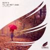 Download track Till We Meet Again (Tadenta Remix)