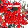 Download track Hotel Hell