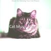 Download track Smooth Relaxing Your Cat