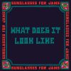 Download track What Does It Look Like