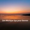 Download track Zen Musique Spa Pour Dormir