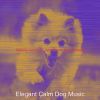 Download track Magnificent Solo Piano Jazz - Vibe For Relaxing Dogs