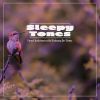 Download track Forest Ambience With Birdsong De-Stress, Pt. 17