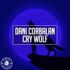 Download track Cry Wolf (Radio Edit)