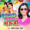 Download track Rangili Holi Aa Gail