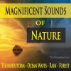 Download track Magnificent Lapping Ocean Sounds