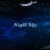 Download track Night Sky