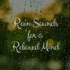 Download track Gentle And Soothing Rain, Pt. 9