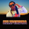 Download track Nilipendwa