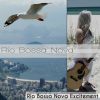 Download track Carefree Soundscapes For Exciting Rio