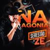 Download track Meu Violão E O Nosso Cachorro