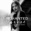 Download track Enchanted Forest