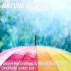 Download track Nature Sounds For Sleeping & Zen Meditation (Soothing Asmr Raindrops) 03