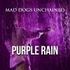 Download track Purple Rain (Radio Edit)