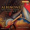 Download track Concerto Terzo Allegro