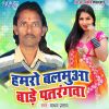 Download track Hamro Balamua Bade Patrangwa