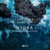 Download track Hydra (Afternude Remix)