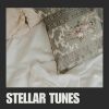 Download track Interstellar Harmonies