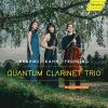 Download track 02 - Frühling - Clarinet Trio In A Minor, Op. 40- II. Anmutig Bewegt