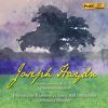 Download track Symphony No. 91 In G Major, Hob. I'92 Oxford II. Adagio