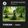 Download track Sitting Ducks