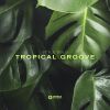 Download track Tropical Groove (Radio Edit)