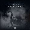 Download track Black Swan (Original Mix)