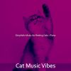 Download track Subdued Ambience For Cats