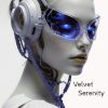 Download track Velvet Serenity