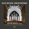 Download track Introduktion, Passacaglia Und Fuge E-Moll, Op. 127: Fuge