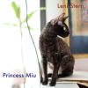 Download track Princess Miu