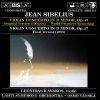 Download track Violin Concerto In D Minor, Op. 47 (Final 1905 Version) - 2. Adagio Di Molto