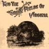 Download track The Tennessee Waltz