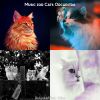 Download track Music (Cute Kittens)