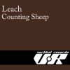 Download track Counting Sheep